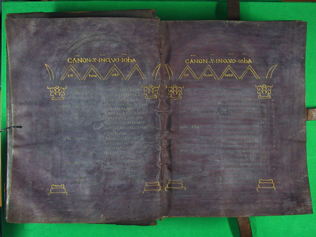 CODICE PURPUREO IMG_0003